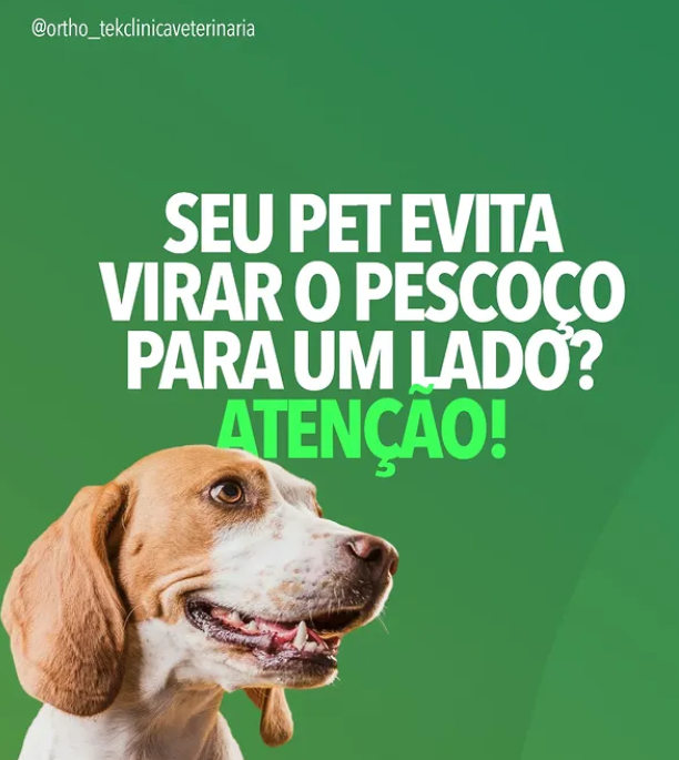 Post 3 - Orthotek Clínica Veterinária | Maringá