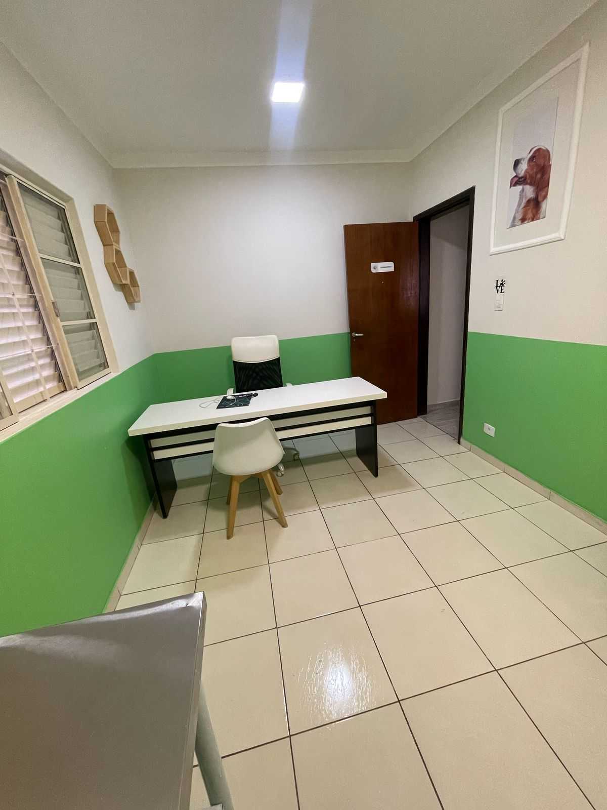 Neurologia Veterinária Landing Hero Bottom Image